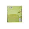 Pin's Tiana La princesse & la grenouille LOUNGEFLY