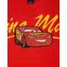 Sweat Flash McQueen Panel Xscript Cars Disney