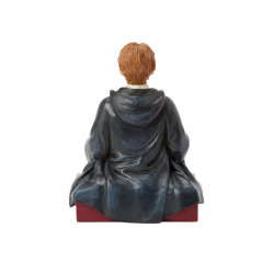 Figurine Ron Et Croûtard Harry Potter 6016700